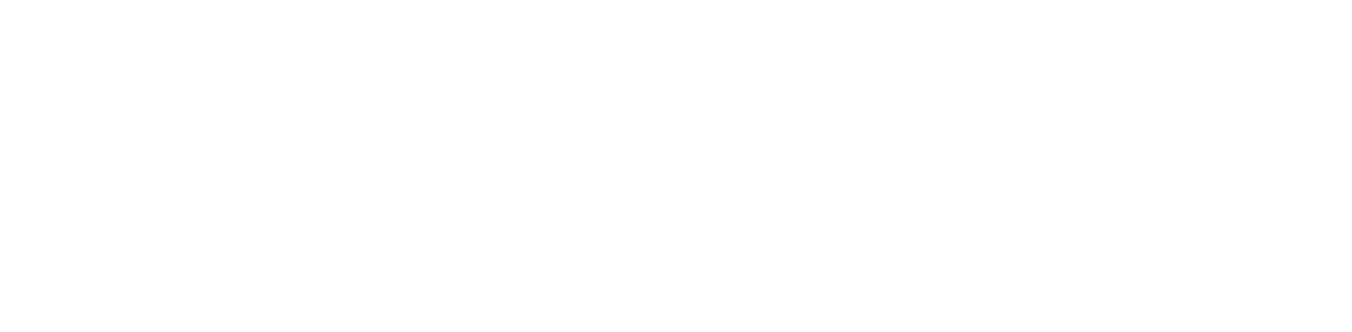 Teck Chu logo white